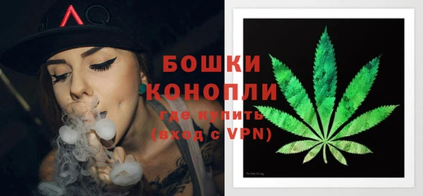 сатива Бородино