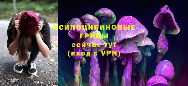 эйфоретик Богданович