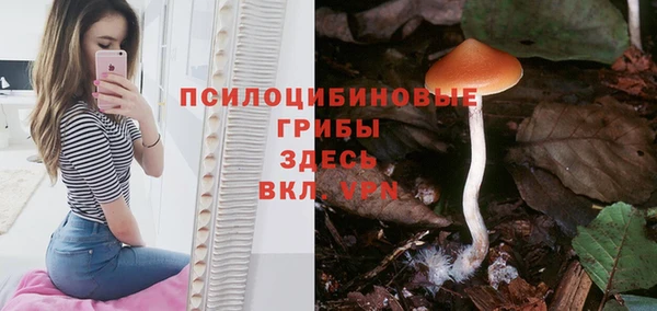 эйфоретик Богданович