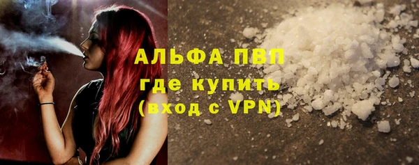 эйфоретик Богданович
