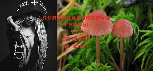 эйфоретик Богданович